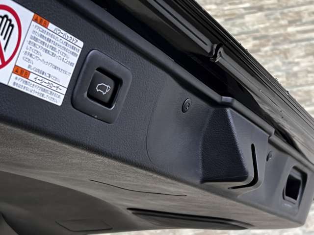 トヨタ ヴェルファイア ３．５ ＺＡ Ｇエディション H29年 (関東) 99