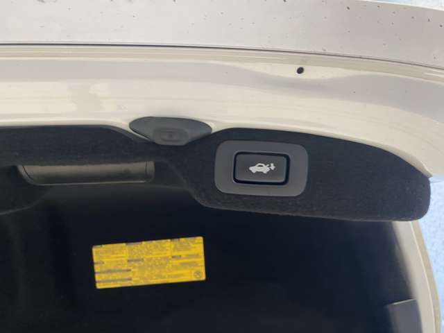 レクサス ＬＳ４６０ バージョンＣ　Ｉパッケージ H24年 (九州・沖縄) 99