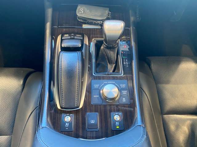 レクサス ＬＳ４６０ バージョンＣ　Ｉパッケージ H24年 (九州・沖縄) 99