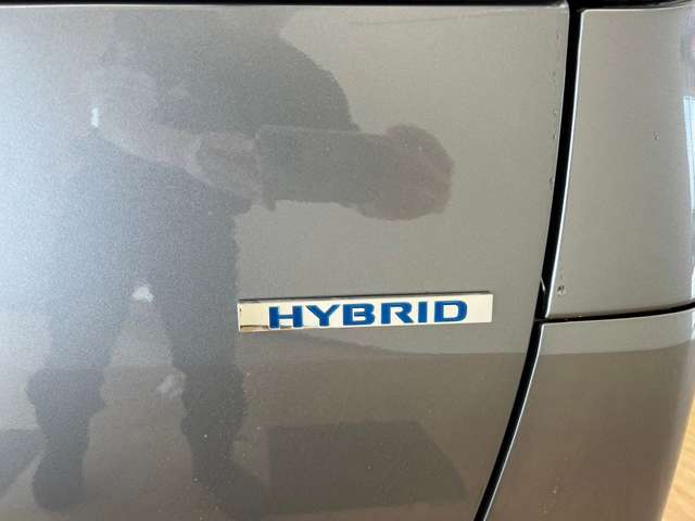 三菱 デリカ　ミニ ６６０ Ｇ ４ＷＤ R6年 (北海道) 99