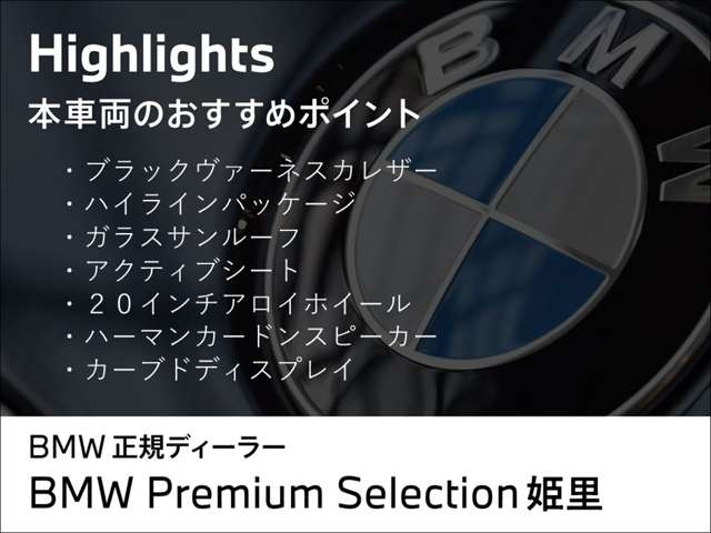 ＢＭＷ Ｘ２ Ｘドライブ２０Ｉ Ｍスポーツ ４ＷＤ R6年 (近畿) 99
