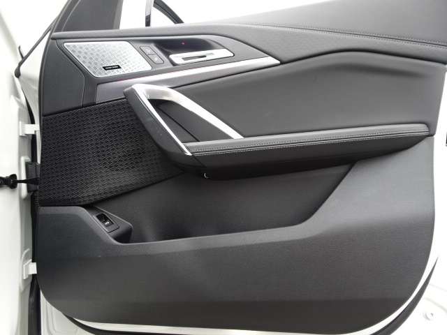 ＢＭＷ Ｘ２ Ｘドライブ２０Ｉ Ｍスポーツ ４ＷＤ R6年 (近畿) 99