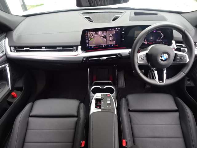 ＢＭＷ Ｘ２ Ｘドライブ２０Ｉ Ｍスポーツ ４ＷＤ R6年 (近畿) 99