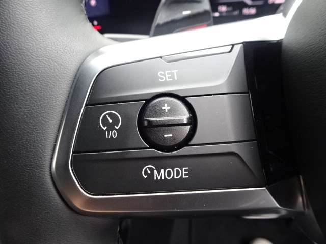 ＢＭＷ Ｘ２ Ｘドライブ２０Ｉ Ｍスポーツ ４ＷＤ R6年 (近畿) 99