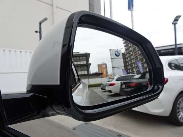 ＢＭＷ Ｘ２ Ｘドライブ２０Ｉ Ｍスポーツ ４ＷＤ R6年 (近畿) 99