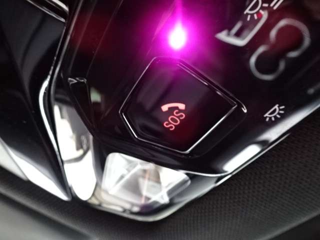 ＢＭＷ Ｘ２ Ｘドライブ２０Ｉ Ｍスポーツ ４ＷＤ R6年 (近畿) 99