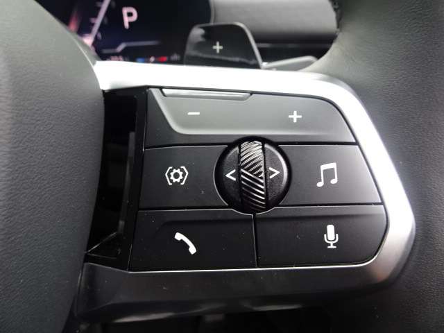 ＢＭＷ Ｘ２ Ｘドライブ２０Ｉ Ｍスポーツ ４ＷＤ R6年 (近畿) 99