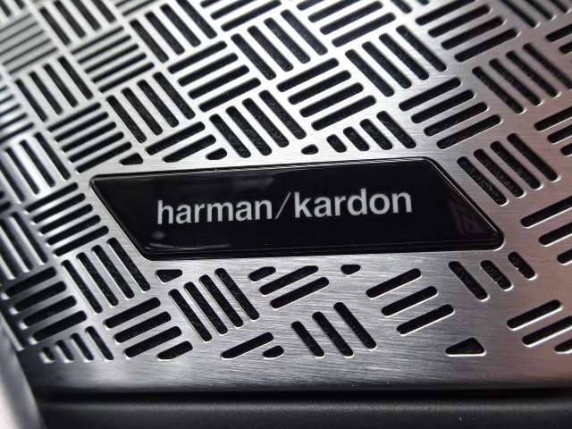 ＢＭＷ Ｘ２ Ｘドライブ２０Ｉ Ｍスポーツ ４ＷＤ R6年 (近畿) 99