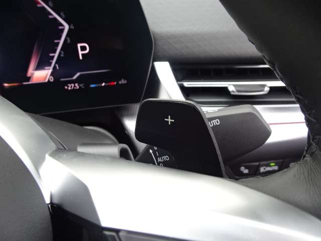 ＢＭＷ Ｘ２ Ｘドライブ２０Ｉ Ｍスポーツ ４ＷＤ R6年 (近畿) 99