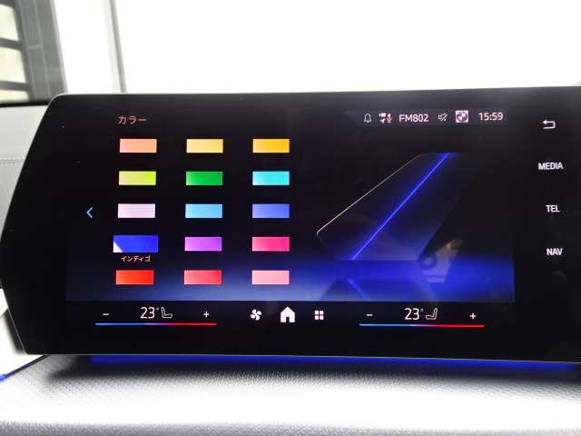 ＢＭＷ Ｘ２ Ｘドライブ２０Ｉ Ｍスポーツ ４ＷＤ R6年 (近畿) 99