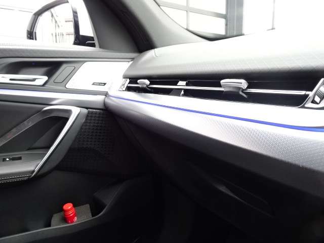 ＢＭＷ Ｘ２ Ｘドライブ２０Ｉ Ｍスポーツ ４ＷＤ R6年 (近畿) 99