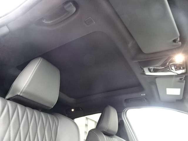 ＢＭＷ Ｘ２ Ｘドライブ２０Ｉ Ｍスポーツ ４ＷＤ R6年 (近畿) 99