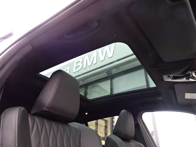 ＢＭＷ Ｘ２ Ｘドライブ２０Ｉ Ｍスポーツ ４ＷＤ R6年 (近畿) 99