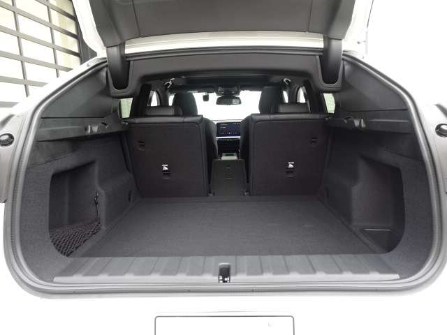 ＢＭＷ Ｘ２ Ｘドライブ２０Ｉ Ｍスポーツ ４ＷＤ R6年 (近畿) 99