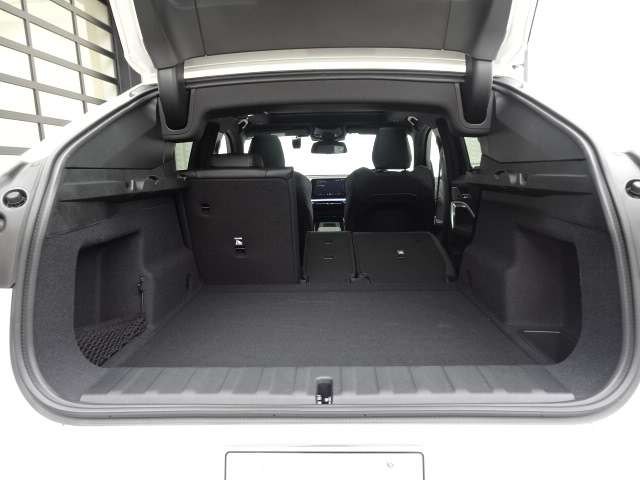 ＢＭＷ Ｘ２ Ｘドライブ２０Ｉ Ｍスポーツ ４ＷＤ R6年 (近畿) 99