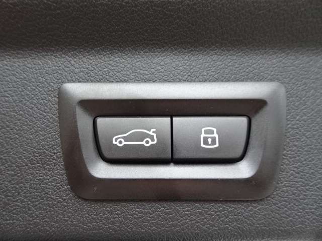 ＢＭＷ Ｘ２ Ｘドライブ２０Ｉ Ｍスポーツ ４ＷＤ R6年 (近畿) 99