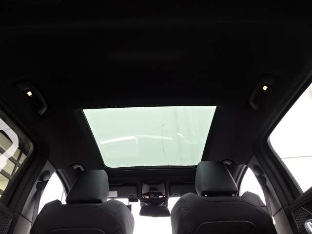 ＢＭＷ Ｘ２ Ｘドライブ２０Ｉ Ｍスポーツ ４ＷＤ R6年 (近畿) 99