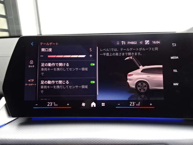 ＢＭＷ Ｘ２ Ｘドライブ２０Ｉ Ｍスポーツ ４ＷＤ R6年 (近畿) 99