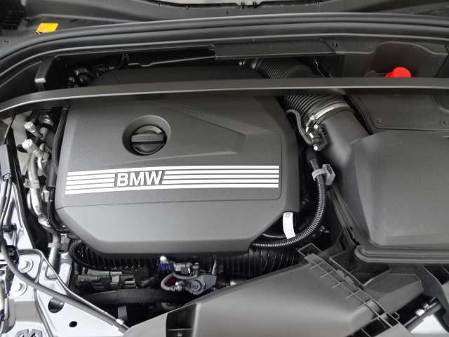 ＢＭＷ Ｘ２ Ｘドライブ２０Ｉ Ｍスポーツ ４ＷＤ R6年 (近畿) 99