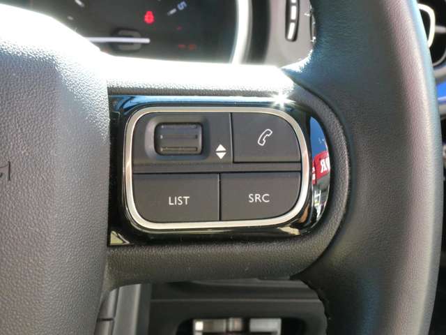 シトロエン Ｃ３ ＪＣＣ＋ R1年 (関東) 99