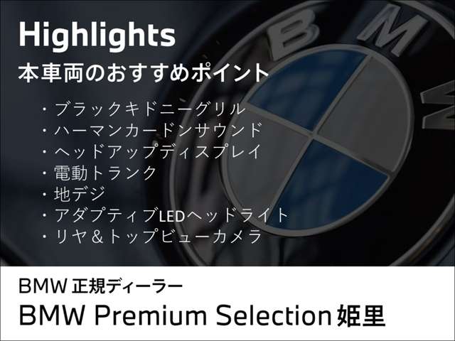 ＢＭＷ ５シリーズ ５２３ｉ　Ｍスポーツ R1年 (近畿) 99