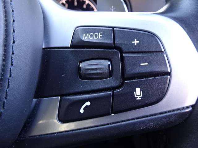 ＢＭＷ ５シリーズ ５２３ｉ　Ｍスポーツ R1年 (近畿) 99