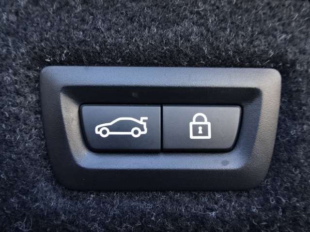 ＢＭＷ ５シリーズ ５２３ｉ　Ｍスポーツ R1年 (近畿) 99