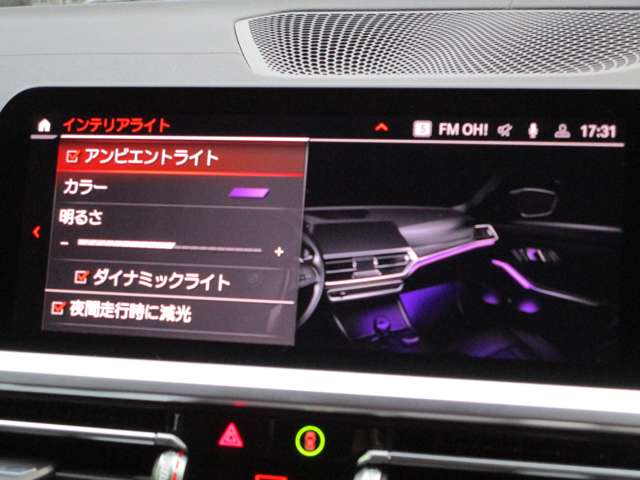 ＢＭＷ ３シリーズ ３１８Ｉ ４０ＴＨ アニバーサリー エディション R3年 (近畿) 99