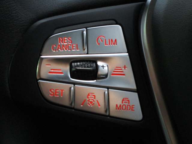 ＢＭＷ ３シリーズ ３１８Ｉ ４０ＴＨ アニバーサリー エディション R3年 (近畿) 99