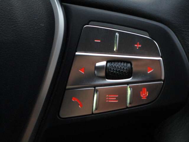 ＢＭＷ ３シリーズ ３１８Ｉ ４０ＴＨ アニバーサリー エディション R3年 (近畿) 99