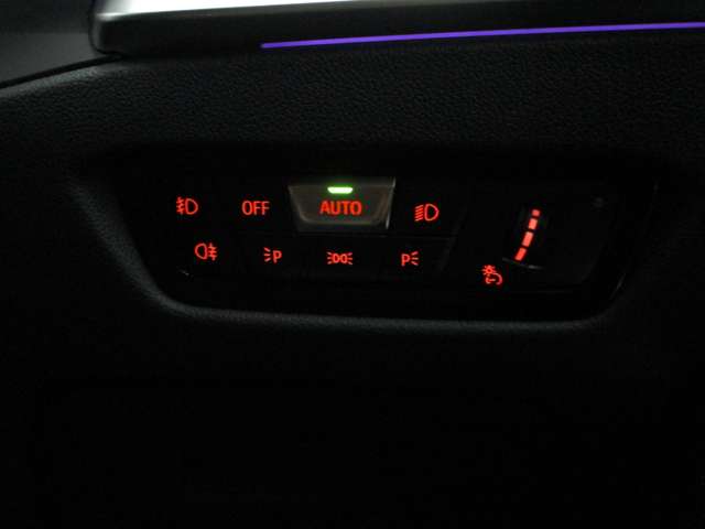 ＢＭＷ ３シリーズ ３１８Ｉ ４０ＴＨ アニバーサリー エディション R3年 (近畿) 99