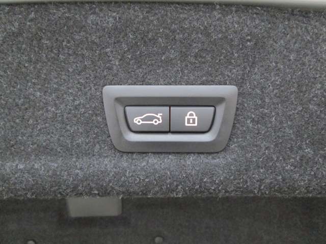 ＢＭＷ ３シリーズ ３１８Ｉ ４０ＴＨ アニバーサリー エディション R3年 (近畿) 99