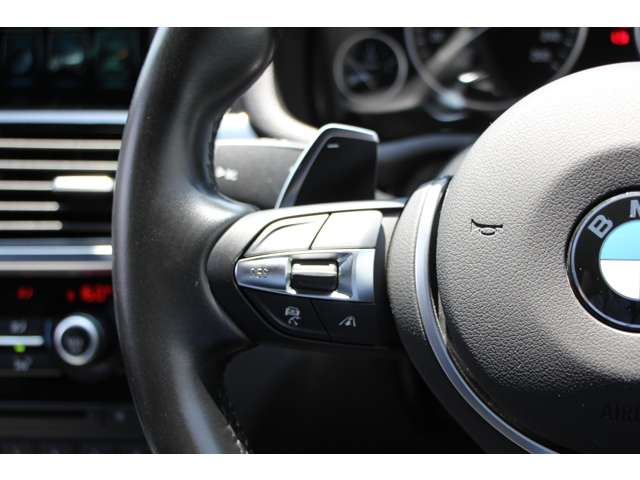 ＢＭＷ Ｘ３ セレブレーション エディション ブラックアウト ディーゼルターボ ４ＷＤ H28年 (関東) 99