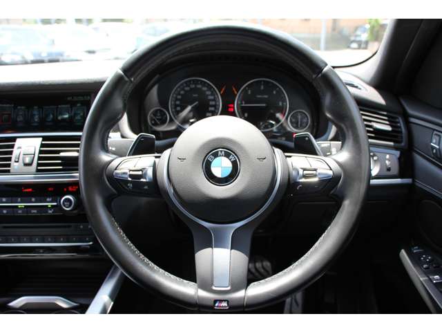 ＢＭＷ Ｘ３ セレブレーション エディション ブラックアウト ディーゼルターボ ４ＷＤ H28年 (関東) 99