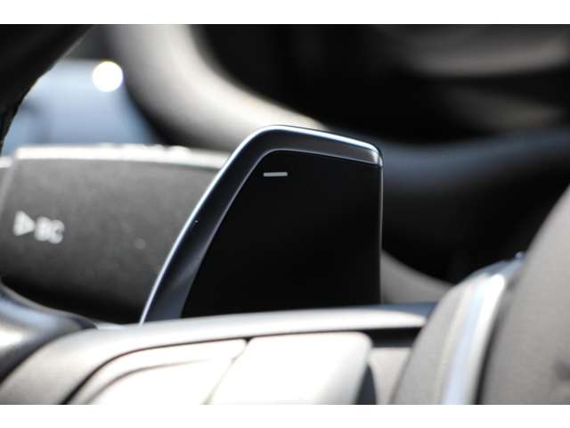 ＢＭＷ Ｘ３ セレブレーション エディション ブラックアウト ディーゼルターボ ４ＷＤ H28年 (関東) 99