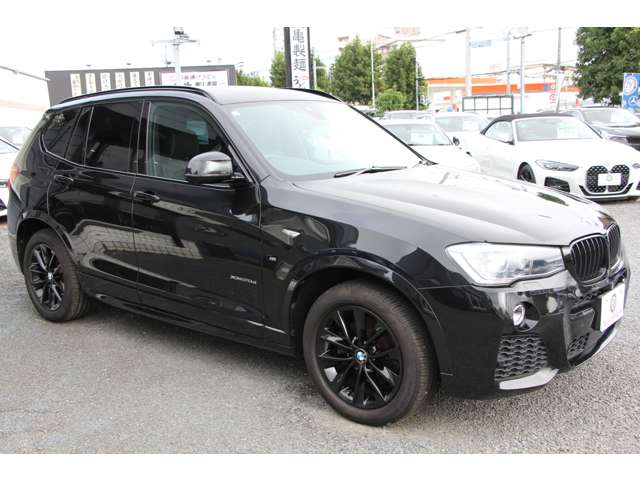 ＢＭＷ Ｘ３ セレブレーション エディション ブラックアウト ディーゼルターボ ４ＷＤ H28年 (関東) 99