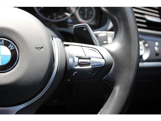 ＢＭＷ Ｘ３ セレブレーション エディション ブラックアウト ディーゼルターボ ４ＷＤ H28年 (関東) 99