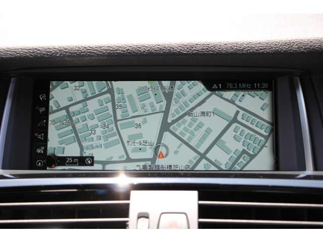 ＢＭＷ Ｘ３ セレブレーション エディション ブラックアウト ディーゼルターボ ４ＷＤ H28年 (関東) 99