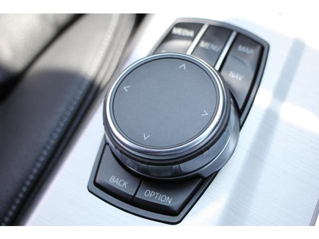 ＢＭＷ Ｘ３ セレブレーション エディション ブラックアウト ディーゼルターボ ４ＷＤ H28年 (関東) 99