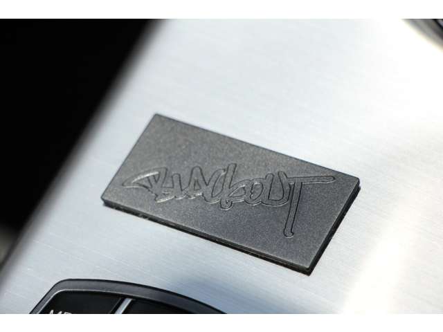 ＢＭＷ Ｘ３ セレブレーション エディション ブラックアウト ディーゼルターボ ４ＷＤ H28年 (関東) 99