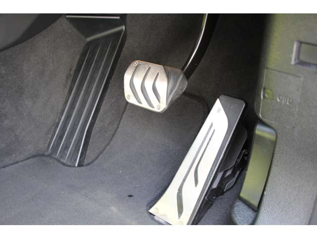 ＢＭＷ Ｘ３ セレブレーション エディション ブラックアウト ディーゼルターボ ４ＷＤ H28年 (関東) 99