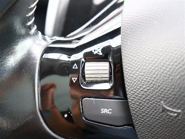 プジョー ３０８ＳＷ アリュール ブルーＨＤＩ ディーゼルターボ H29年 (関東) 99