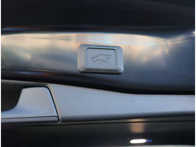 トヨタ ＲＡＶ４ ２．０ アドベンチャー ４ＷＤ R3年 (関東) 99