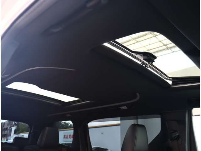 トヨタ アルファード ２．５ Ｓ タイプゴールド R2年 (関東) 99