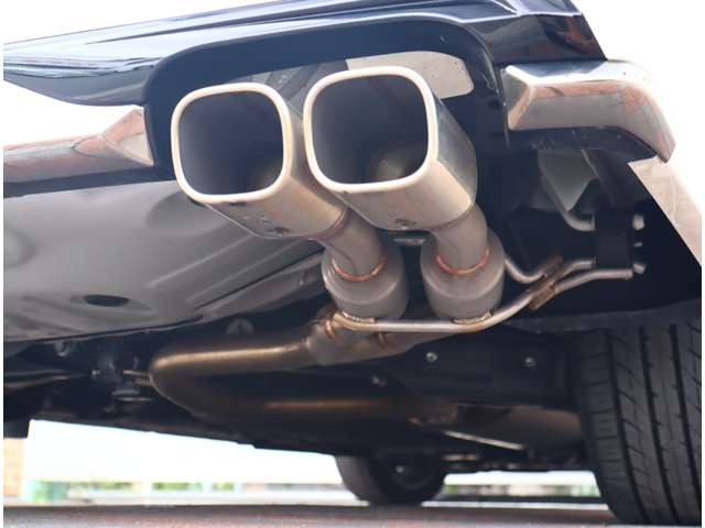 トヨタ アルファード ２．５ Ｓ タイプゴールド R2年 (関東) 99