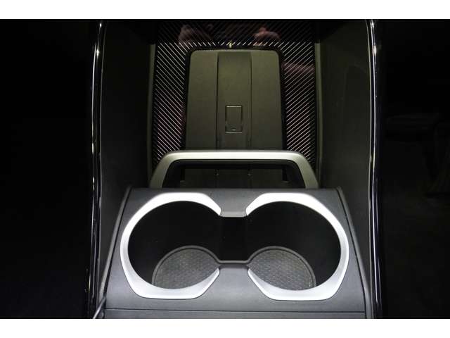 ＢＭＷ Ｘ１ Ｘドライブ２０Ｉ Ｘライン ＤＣＴ ４ＷＤ R5年 (近畿) 99