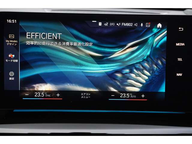 ＢＭＷ Ｘ１ Ｘドライブ２０Ｉ Ｘライン ＤＣＴ ４ＷＤ R5年 (近畿) 99