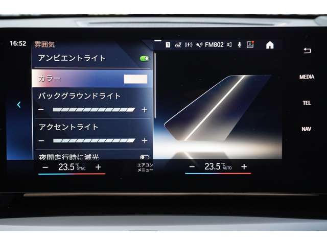 ＢＭＷ Ｘ１ Ｘドライブ２０Ｉ Ｘライン ＤＣＴ ４ＷＤ R5年 (近畿) 99