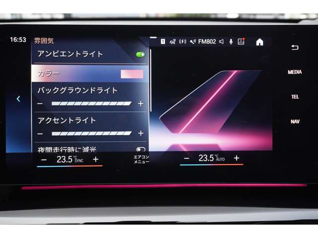 ＢＭＷ Ｘ１ Ｘドライブ２０Ｉ Ｘライン ＤＣＴ ４ＷＤ R5年 (近畿) 99