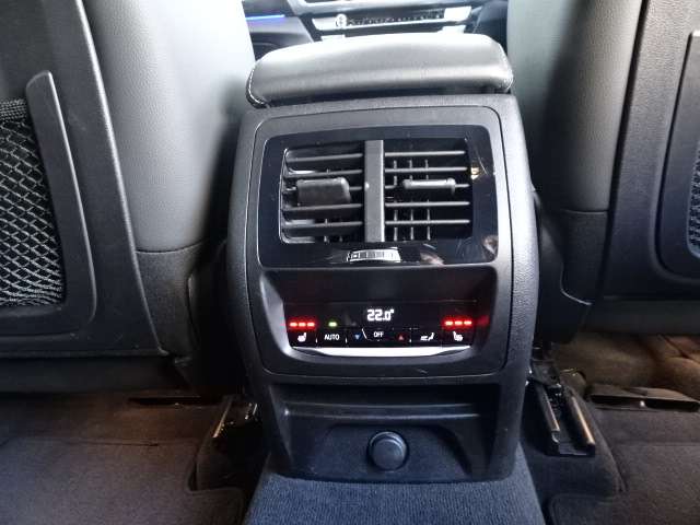 ＢＭＷ Ｘ４ Ｘドライブ３０Ｉ Ｍスポーツ ４ＷＤ R1年 (近畿) 99